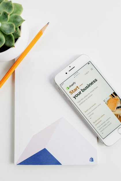 Creating a Professional Website