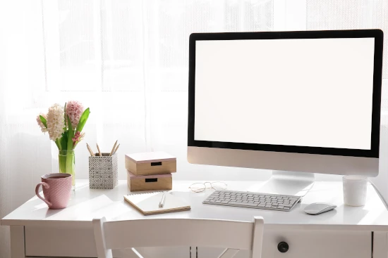 WBS Business Support Data Entry